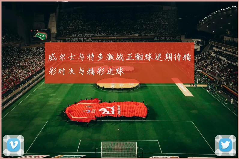 威尔士与特多激战正酣球迷期待精彩对决与精彩进球